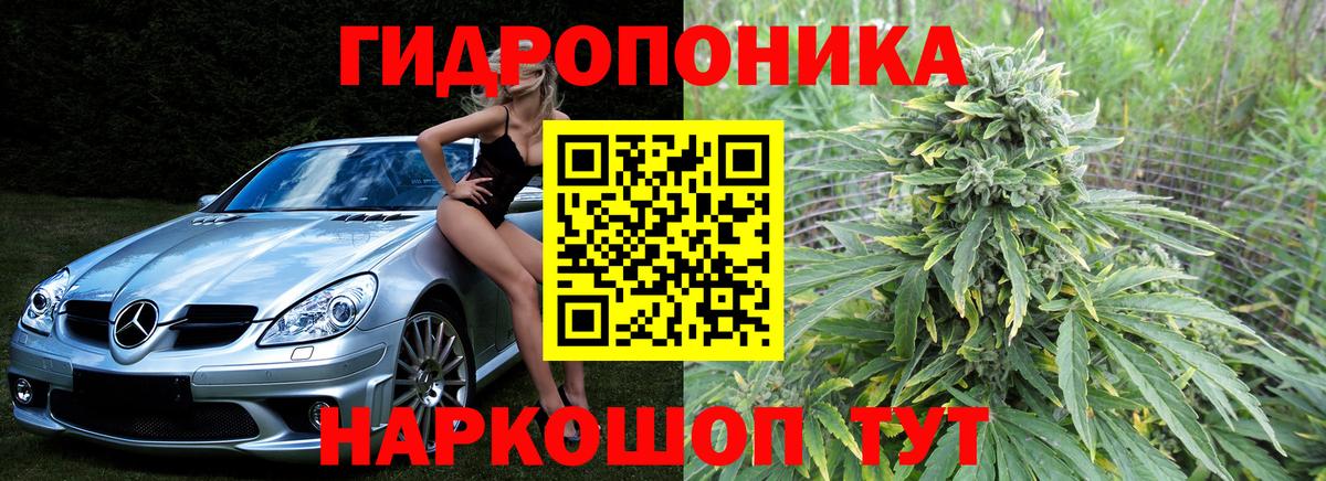 Людиново  Марихуана планчик  Вход с VPN  Марихуана конопля  Марихуана индика 